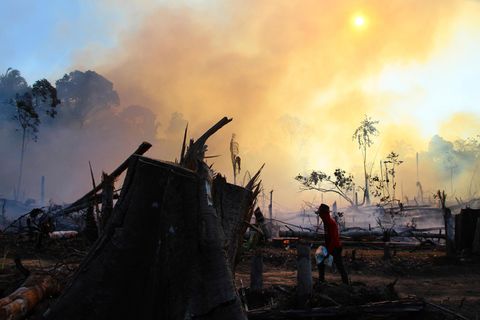 Ein Mann geht durch ein von Brändne zerstörtes Gebiet im Amazonas