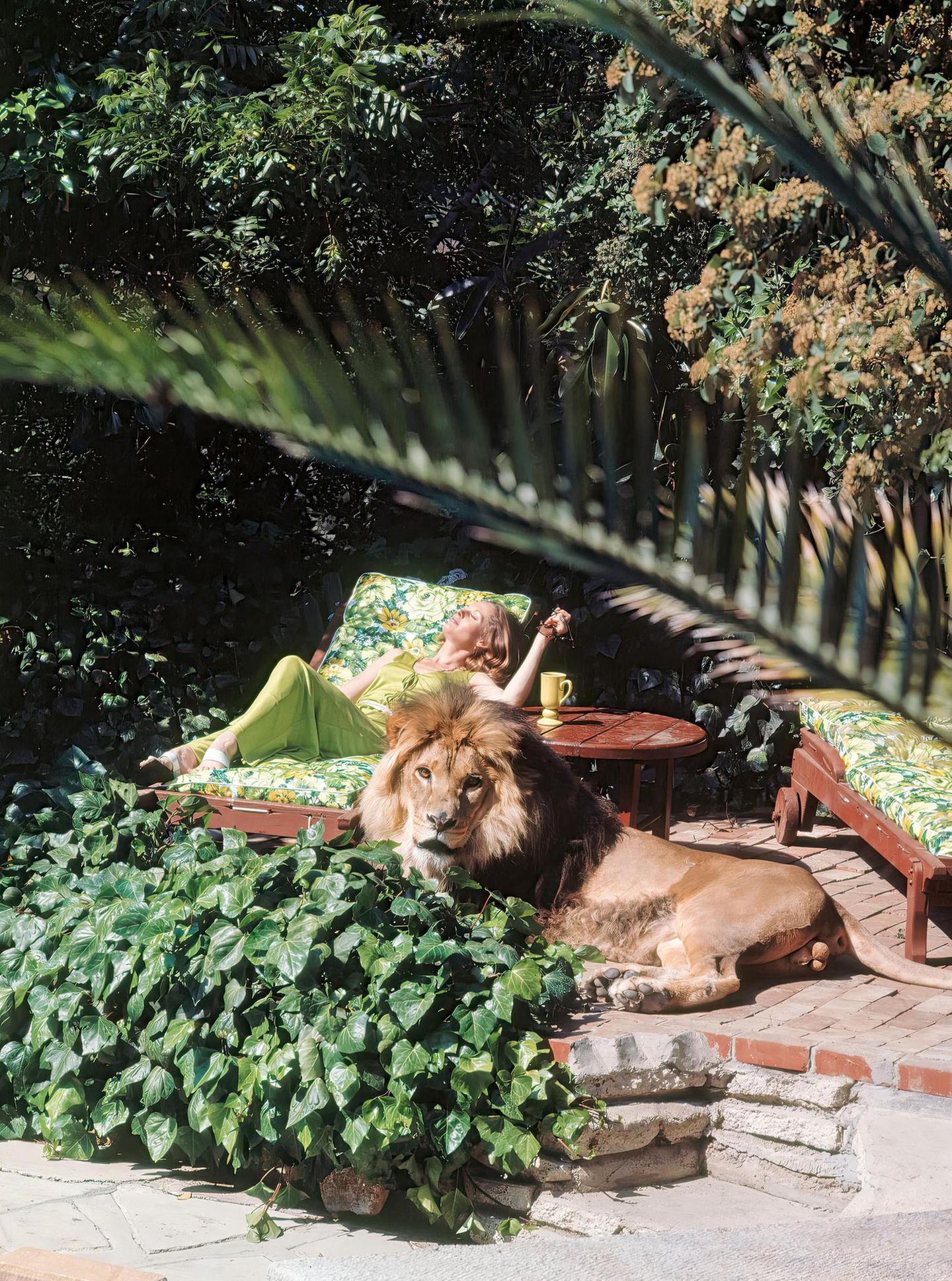 Tippi Hedren auf einer Gartenliege, vor ihr Löwe Neill