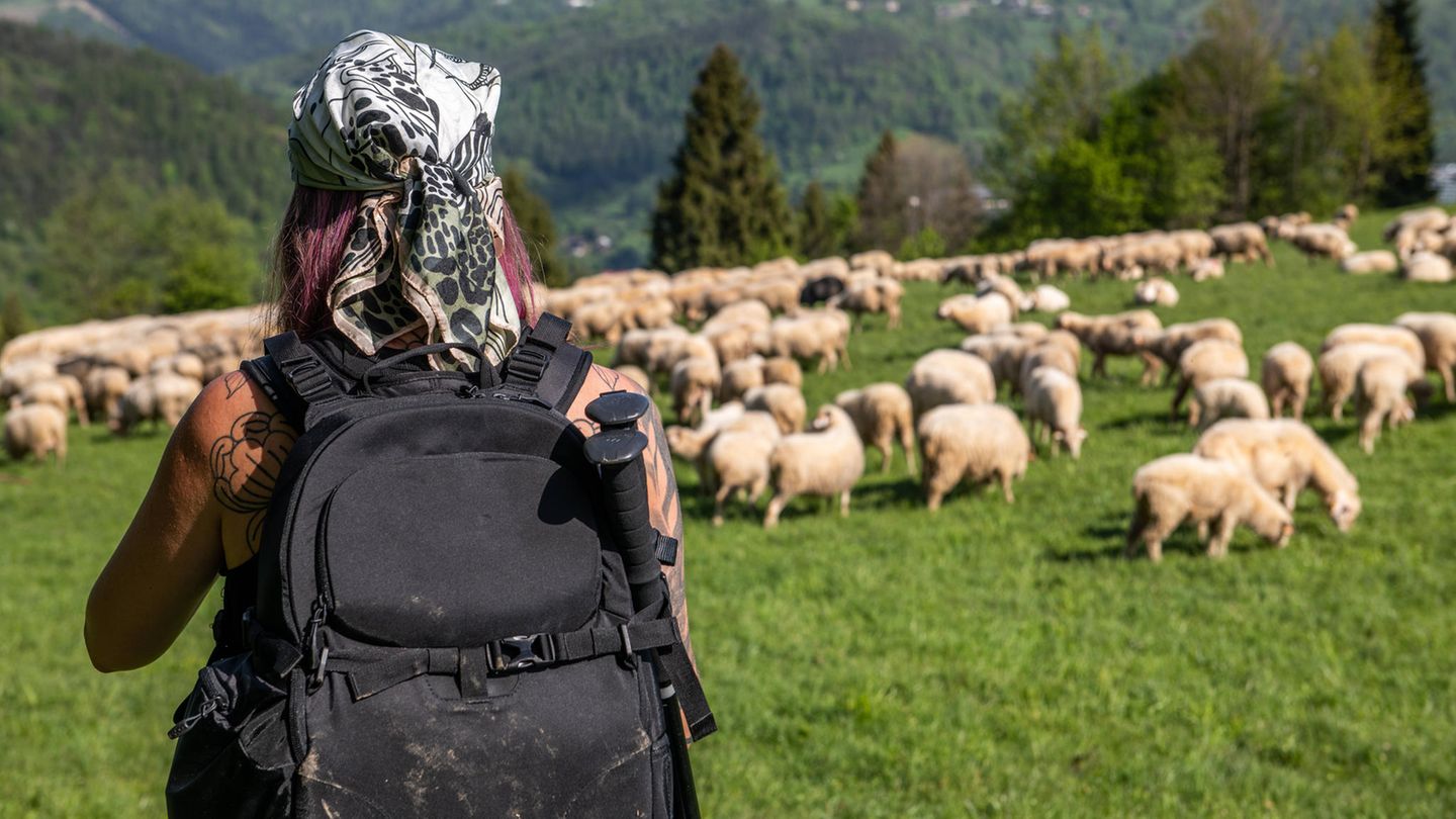 Wann ist der Nachwuchs erwachsen?: Was tun, wenn das 