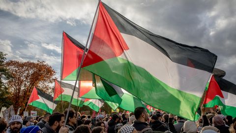 Flaggen auf einer Palästina-Demonstration in Berlin.