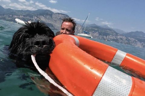 Diese Wasserhelden sind anders als die berühmten Baywatch-Stars auf vier Pfoten unterwegs und wachen über Italiens Strandbesucher.