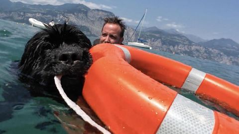 Diese Wasserhelden sind anders als die berühmten Baywatch-Stars auf vier Pfoten unterwegs und wachen über Italiens Strandbesucher.
