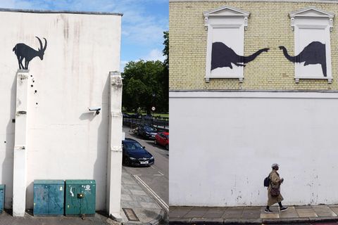 Ein Steinbock, zwei Elefanten, ein Wolf und drei Affen  Was sehen wir? Die Welt rätselt, wieder einmal. Und zwar nicht nur, wer sich hinter Banksy verbirgt, sondern auch, was Banksys Tierleben bedeuten soll. Die ersten beiden Werke, die er nachts per Schablone sprayte, zeigen einen Steinbock, der auf einem Pfeiler steht und in die Tiefe zu stürzen droht – und zwei Elefanten, die versuchen, sich mit den Rüsseln zu berühren (siehe oben). Gleich danach folgten drei Gibbon-Affen, die sich an einer Eisenbahnüberführung entlanghangeln, und ein heulender Wolf in einer Satellitenschüssel. Der Wolf wurde von Unbekannten bereits abmontiert und gestohlen.  Was will uns Banksy damit sagen? Selbsternannte Kunstkenner im Netz behaupten, die drei Affen würden den Spruch "Nichts sehen, nichts hören, nichts sagen" symbolisieren – aber nicht einer der Gibbons hält sich Augen, Ohren oder Mund zu. Dabei ist die Interpretation doch kinderleicht: Banksy prangert an, was wir der Welt antun! Alle Tiere sind ihrer natürlichen Umgebung und damit auch ihrer Natur beraubt, der einsame Wolf kann nur noch den Mond anheulen. Und alle stehen sie allein da, isoliert. Und die drei Gibbons, die sich fröhlich an der Eisenbahnüberführung entlangschwingen? Ist doch klar: Sie überführen uns Menschen der Doppelmoral!