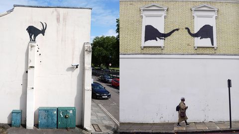 Ein Steinbock, zwei Elefanten, ein Wolf und drei Affen  Was sehen wir? Die Welt rätselt, wieder einmal. Und zwar nicht nur, wer sich hinter Banksy verbirgt, sondern auch, was Banksys Tierleben bedeuten soll. Die ersten beiden Werke, die er nachts per Schablone sprayte, zeigen einen Steinbock, der auf einem Pfeiler steht und in die Tiefe zu stürzen droht – und zwei Elefanten, die versuchen, sich mit den Rüsseln zu berühren (siehe oben). Gleich danach folgten drei Gibbon-Affen, die sich an einer Eisenbahnüberführung entlanghangeln, und ein heulender Wolf in einer Satellitenschüssel. Der Wolf wurde von Unbekannten bereits abmontiert und gestohlen.  Was will uns Banksy damit sagen? Selbsternannte Kunstkenner im Netz behaupten, die drei Affen würden den Spruch "Nichts sehen, nichts hören, nichts sagen" symbolisieren – aber nicht einer der Gibbons hält sich Augen, Ohren oder Mund zu. Dabei ist die Interpretation doch kinderleicht: Banksy prangert an, was wir der Welt antun! Alle Tiere sind ihrer natürlichen Umgebung und damit auch ihrer Natur beraubt, der einsame Wolf kann nur noch den Mond anheulen. Und alle stehen sie allein da, isoliert. Und die drei Gibbons, die sich fröhlich an der Eisenbahnüberführung entlangschwingen? Ist doch klar: Sie überführen uns Menschen der Doppelmoral!