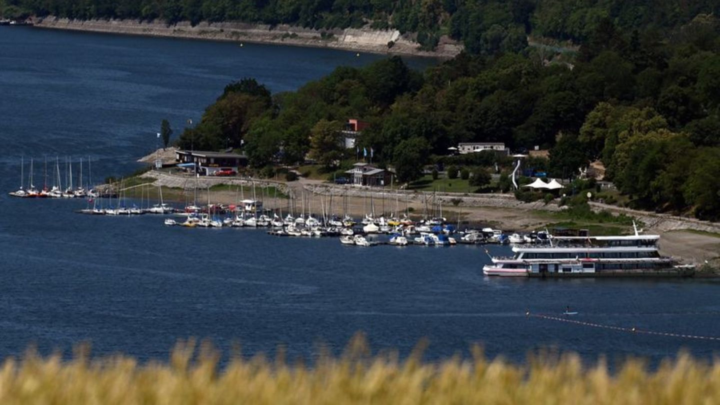 Edersee: Mädchen nach Bissattacke auf Schiff außer Lebensgefahr