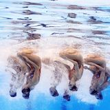 Nein, das Bild ist nicht verkehrt herum. Die chinesischen Synchronschwimmerinnen zeigten einen Auftritt nahe der Perfektion. Kaum zu glauben: Es ist das erste Olympia-Gold für China in dem Wettbewerb. 1996 gewann die USA den ersten olympischen Wettkampf, seitdem standen immer die Russinnen, die in diesem Jahr nicht teilnehmen dürfen, ganz oben