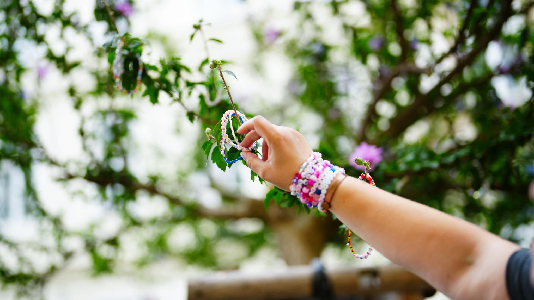 Fans von Taylor Swift knüpfen gerne Armbänder. Hier hängt eine Frau eines an einen Baum in Wien