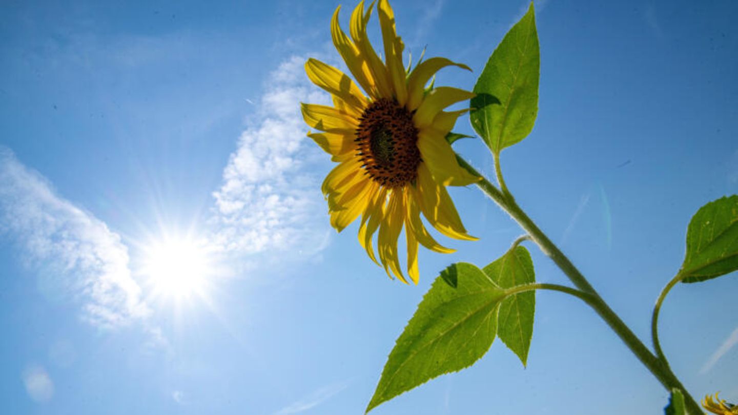 Drei-Tages-Aussicht: Sonniges Wetter am Wochenende – in dieser Region wird es 