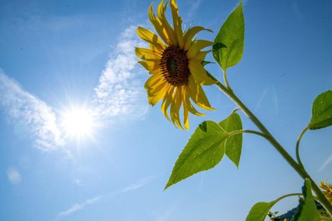 Freitag ist wechselhaft – sonniges Wetter am Wochenende fast überall erwartet