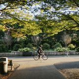 Man fährt mit dem Rad