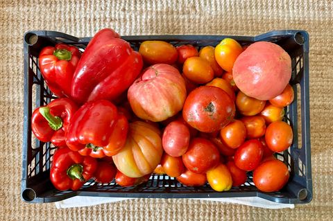 Tomaten und Paprika in einem Korb