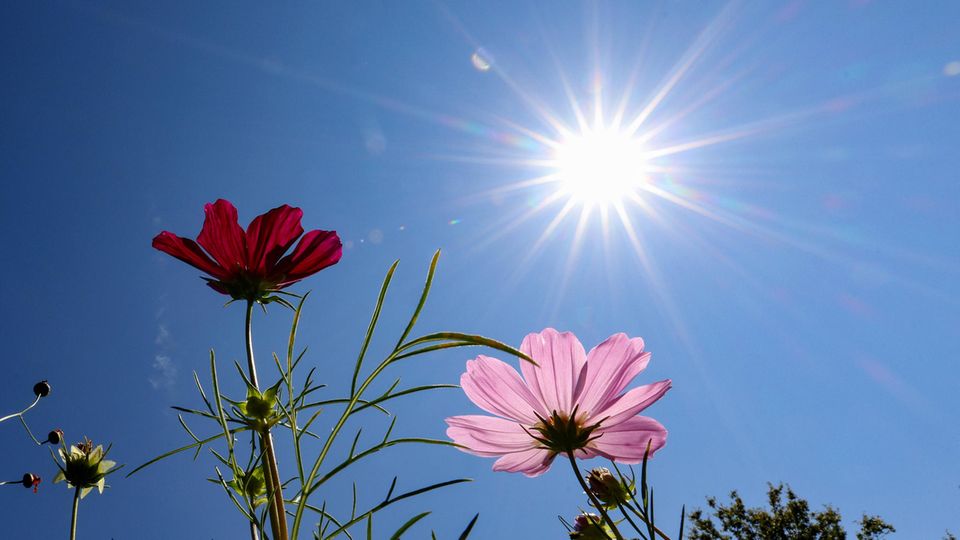 Immer mehr heiße Tage: Eine der Folgen des Klimawandels in Deutschland 