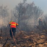 In einem Waldstück mit verkohlten Bäumen kämpfen sich drei Feuerwehrleute mit Schlauch voran