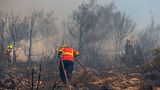 In einem Waldstück mit verkohlten Bäumen kämpfen sich drei Feuerwehrleute mit Schlauch voran