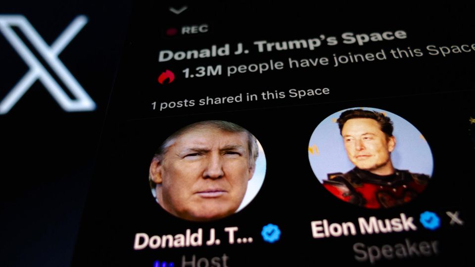 Elon Musk und Donald Trump auf X