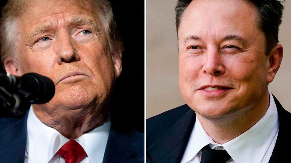Trump trifft Musk: US-Experte analysiert den Milliardärs-Plausch