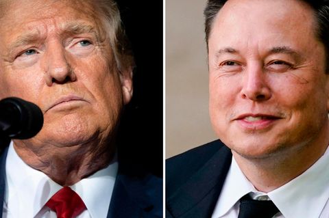 Trump trifft Musk: US-Experte analysiert den Milliardärs-Plausch