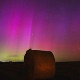 Nicht der Himmel über Berlin, sondern der Himmel über Brandenburg leuchtete Montagnacht in allen Farben. Die Polarlichter, Aurora borealis genannt, flimmerten über Betzin