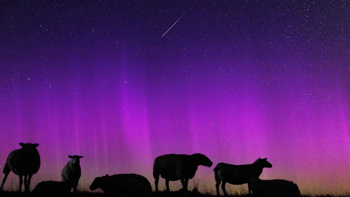 Der Sternschnuppenstrom der Perseiden entfaltet in diesen Nächten seine phänomenale Pracht, mit einem Maximum von bis zu 100 Sternschnuppen pro Stunde