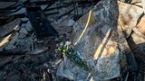 Die Leiche einer etwa 60 Jahre alten Frau aus Moldau wurde Behördenangaben zufolge in einer ausgebrannten Fabrik in Halandri gefunden. Vor der Fabirk hat jemand Blumen für die Tote niedergelegt