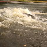 Regenwasser drückt den Gullideckel mitten auf einer Fahrbahn hoch und strömt heraus auf die Straße