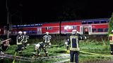 Feuerwehrleute im Einsatz wegen eines umgestürzten Baums vor einem Regionalexpress der Bahn