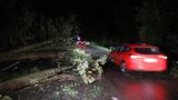 EIn rotes Auto fährt in der Nacht an umgestürzten Bäumen, die auf der Straße eine Fahrbahn blockieren, vorbei