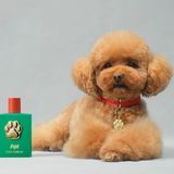 Fefé: Der erste Duft für Hunde aus dem Hause Dolce & Gabanna  Fefé gibt es wirklich. Die Pudelhündin gehört dem Modedesigner Domenico Dolce, der den Duft für D & G konzipierte. Die 100-ml-Flasche kostet 99 Euro – wir zitieren aus der Produktinfo: "Sprühen Sie Fefé auf Ihre Hände oder eine Bürste und massieren oder bürsten Sie dann das Fell Ihres Hundes (…), um ihm einen Moment duftender Streicheleinheiten zu schenken. Fefé kann auch direkt auf den Körper des Hundes aufgetragen werden, wobei der Nasenbereich ausgespart werden sollte. Dolce & Gabbana Fefé ist das erste alkoholfreie Duftspray der Marke für Hunde. Eine Kreation mit warmen Noten von Ylang-Ylang, kräftig-schmeichelndem Moschus und cremigen Nuancen von Sandelholz. Der Duft wird in einem Flakon aus grün lackiertem Glas angeboten, der mit (…) einer edlen mit 24-karätigem Gold überzogenen Pfote verziert ist. Beim Kauf (…) erhalten Sie ein exklusives Hundehalsband mit Dolce & Gabbana-Plakette."