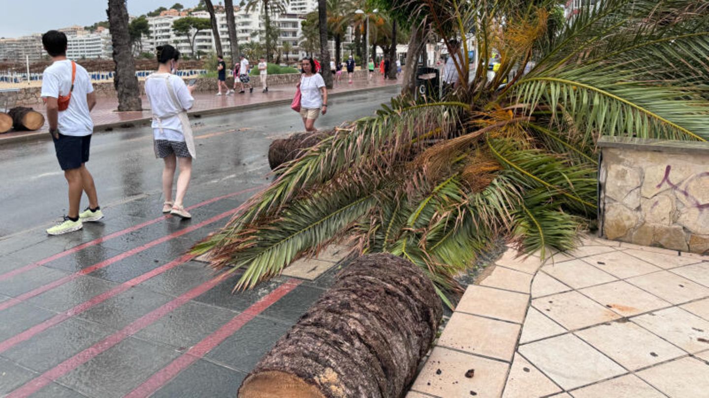 Verw&uuml;stung, Flugausf&auml;lle: Heftige Unwetter sorgen auf Mallorca f&uuml;r Chaos &ndash; und es ist noch nicht vorbei