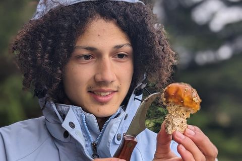 Pilzexperte Tristan Jurisch hält einen Pilz und ein Messer.