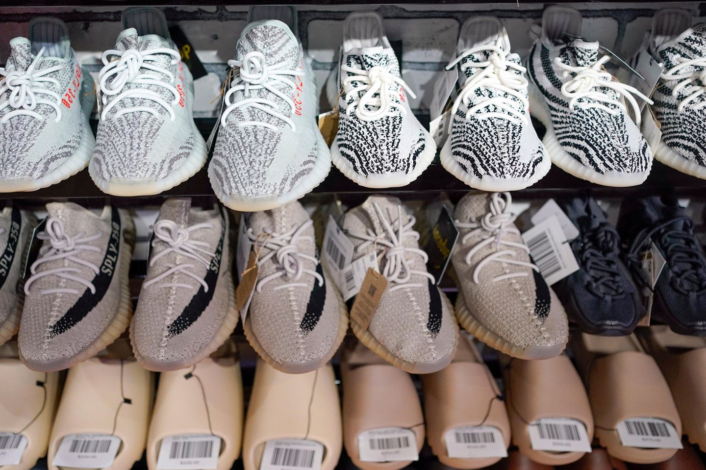 Die Yeezy-Sneaker von Kanye West stehen reihenweise im Regal eines Sportgeschäfts