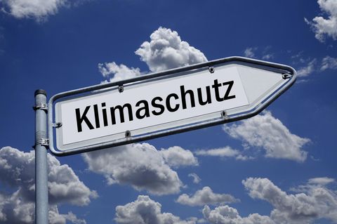 Klima Update: Welche Möglichkeiten gibt es, Methanausstoß zu reduzieren? (Video)