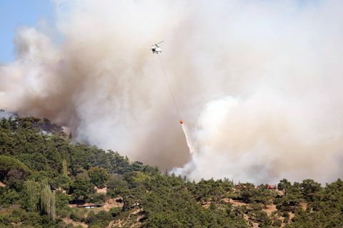 Tagelang brannte es in der Gegend um Izmir, der drittgrößten Stadt der Türkei. Es war das bisher schlimmste Feuer der diesjährigen Waldbrandsaison in dem bei Touristen beliebten Land