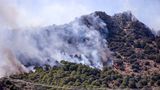 Bei den Waldbränden rund um Izmir starben zahlreiche wilde Tiere sowie Katzen und Hunde in den Flammen. Menschliche Todesopfer gab es nicht
