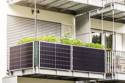 Am Balkon installiertes Balkonkraftwerk mit grüner Bepflanzung.