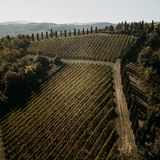 Das Roncolo 1888 liegt inmitten von Weinbergen in der Region Emilia Romagna. In der Nähe können sich die Gäste die idyllische Natur Italiens ansehen oder einen Städtetrip nach Parma, Modena oder Reggio Emilia unternehmen. 