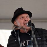 Neil Young gegen Trump