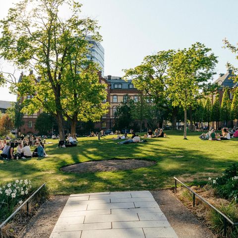 Park vor dem Rathaus in Umeå