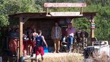 Dschungelcamp