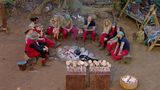 Dschungelcamp