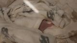 Panda-Babys im Zoo Berlin