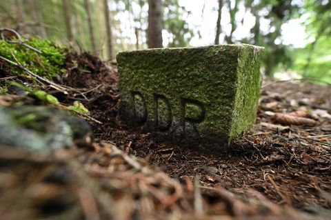Ein alter Grenzstein auf dem früheren Todesstreifen bei Gräfenthal in Thüringen