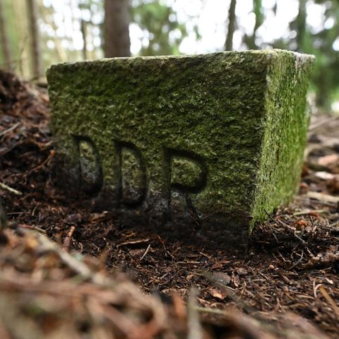 An old boundary stone on the former death strip near Gräfenthal in Thuringia