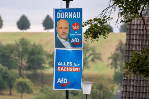 Afd Sachsen