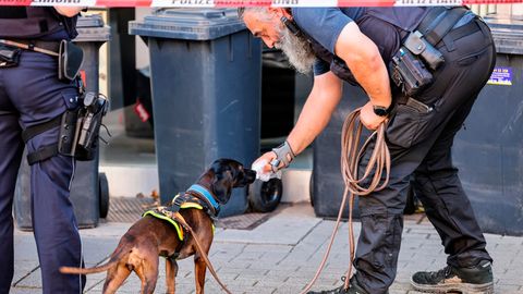 Solingen Polizeihund