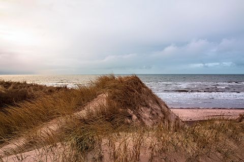 Eine Düne in Dänemark unter bewölktem Himmel