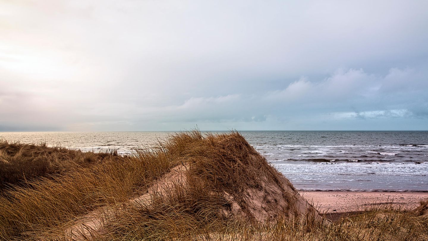 Eine Düne in Dänemark unter bewölktem Himmel