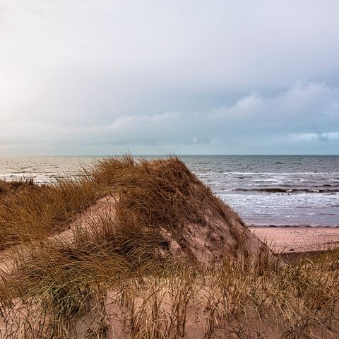 Eine Düne in Dänemark unter bewölktem Himmel