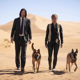 Außenaufnahmen: Reeves und Halle Berry 2019 in "John Wick: Kapitel 3". Die "John Wick"-Reihe ist Reeves größter Hit: Die düsteren Geschichten rund um den Profikiller, den er darin verkörpert, spielen weltweit mehr als eine Milliarde US-Dollar ein.