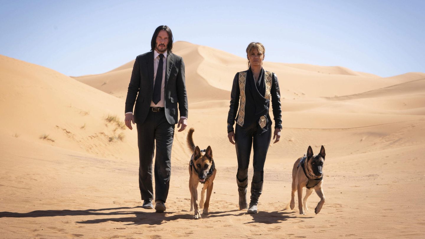 Außenaufnahmen: Reeves und Halle Berry 2019 in "John Wick: Kapitel 3". Die "John Wick"-Reihe ist Reeves größter Hit: Die düsteren Geschichten rund um den Profikiller, den er darin verkörpert, spielen weltweit mehr als eine Milliarde US-Dollar ein.